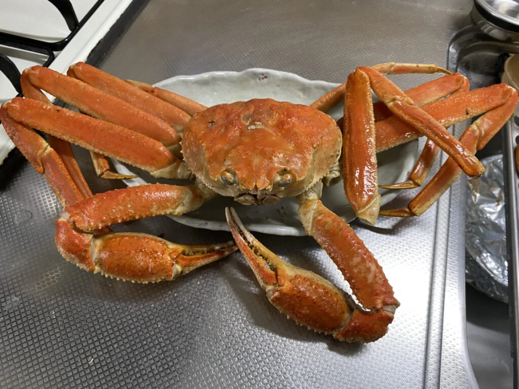 マルゲン後藤水産 特大タラバガニ脚1kg19,800円・2kg39,000円！タラバガニ・ズワイガニ・毛ガニを注文できる