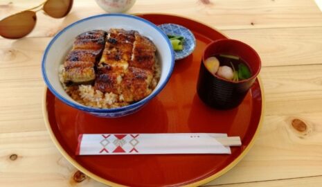 うなぎ 横輪おりおり2