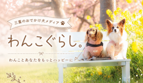 わんこぐらし。
