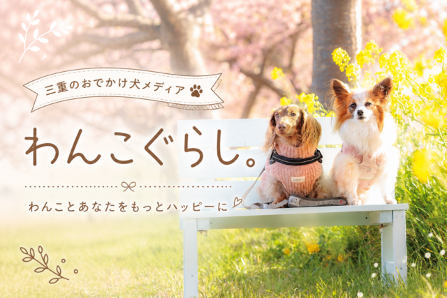 三重のお出かけメディアわんこぐらし。